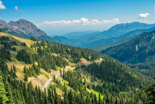 Hurricane Ridge Olympic National Wall Mural