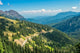 Hurricane Ridge Olympic National Wall Mural