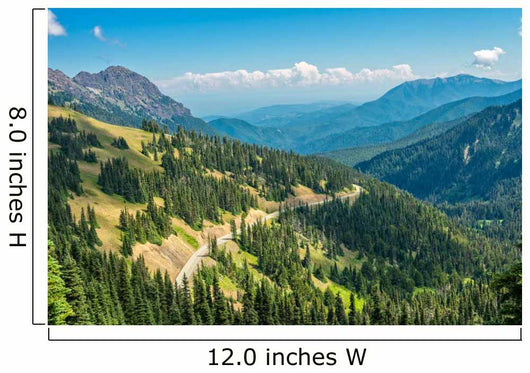 Hurricane Ridge Olympic National Wall Mural