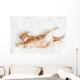 Red Kitten Stretched Out Wall Decal