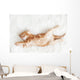 Red Kitten Stretched Out Wall Decal