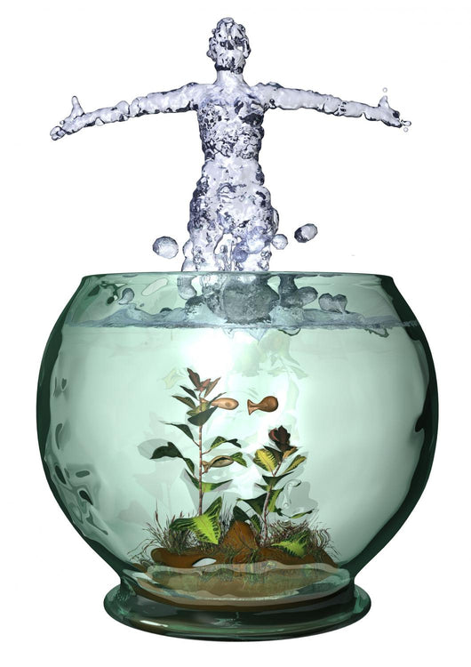 Aquarium Splash Wall Decal