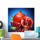 Pomegranate Wall Mural