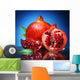 Pomegranate Wall Mural
