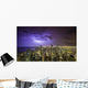 Chicago Downtown Night Panorama Wall Mural