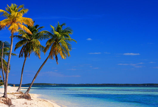 Bahamas Beach, Coco Cay Island Wall Mural