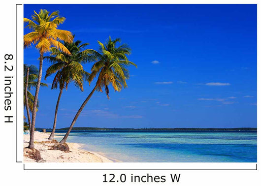 Bahamas Beach, Coco Cay Island Wall Mural