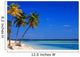 Bahamas Beach, Coco Cay Island Wall Mural