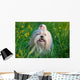 Shih Tzu Dog Wall Decal