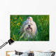 Shih Tzu Dog Wall Decal