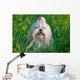 Shih Tzu Dog Wall Decal