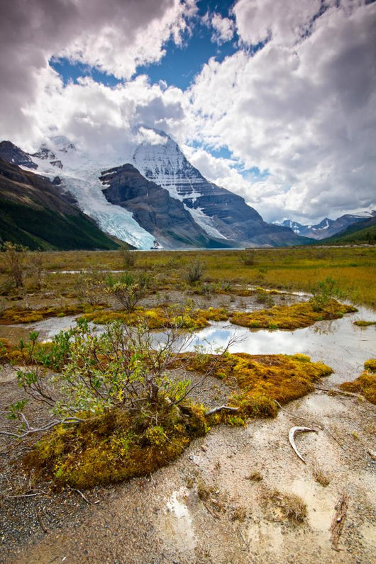 Mount Robson Wall Mural