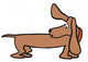 Dog-dachshund