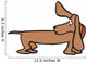 Dog-dachshund