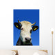 Head Cow against Sky