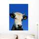 Head Cow against Sky