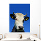 Head Cow against Sky