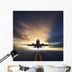 Passenger Plane Take off Wall Decal