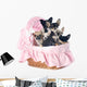 Puppies Chihuahua Wall Decal