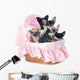 Puppies Chihuahua Wall Decal