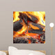 Charcoal Burning in BBQ or in the Fireplace Wall Mural