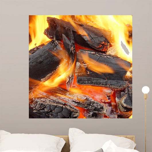 Charcoal Burning in BBQ or in the Fireplace Wall Mural