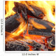 Charcoal Burning in BBQ or in the Fireplace Wall Mural