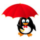 Funny Penguin with Red Umbrella Wall Decal