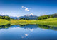 Idyllic Summer Landscape with