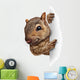Squirrel Sign