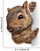 Squirrel Sign