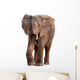 African Elephant