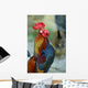 Crowing Rooster Wall Decal