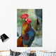 Crowing Rooster Wall Decal
