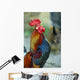 Crowing Rooster Wall Decal