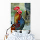 Crowing Rooster Wall Decal