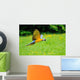 Flying Blue-and-yellow Macaw Ara Wall Decal