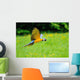 Flying Blue-and-yellow Macaw Ara Wall Decal