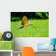 Flying Blue-and-yellow Macaw Ara Wall Decal