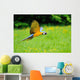 Flying Blue-and-yellow Macaw Ara Wall Decal
