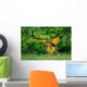 Landing Blue-and-yellow Macaw Ara Wall Decal