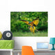 Landing Blue-and-yellow Macaw Ara Wall Decal