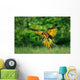 Landing Blue-and-yellow Macaw Ara Wall Decal