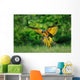 Landing Blue-and-yellow Macaw Ara Wall Decal