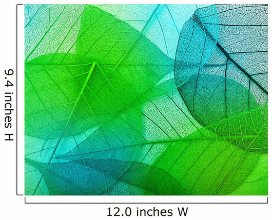 Macro Leaves