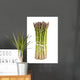 Bunch Green Asparagus Wall Decal