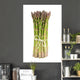 Bunch Green Asparagus Wall Decal