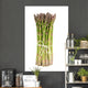 Bunch Green Asparagus Wall Decal