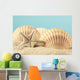 Starfish and Seashell Beach