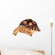 African Spurred Tortise Wall Decal